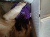 img_20170428_123748
