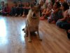 img_20170629_103145